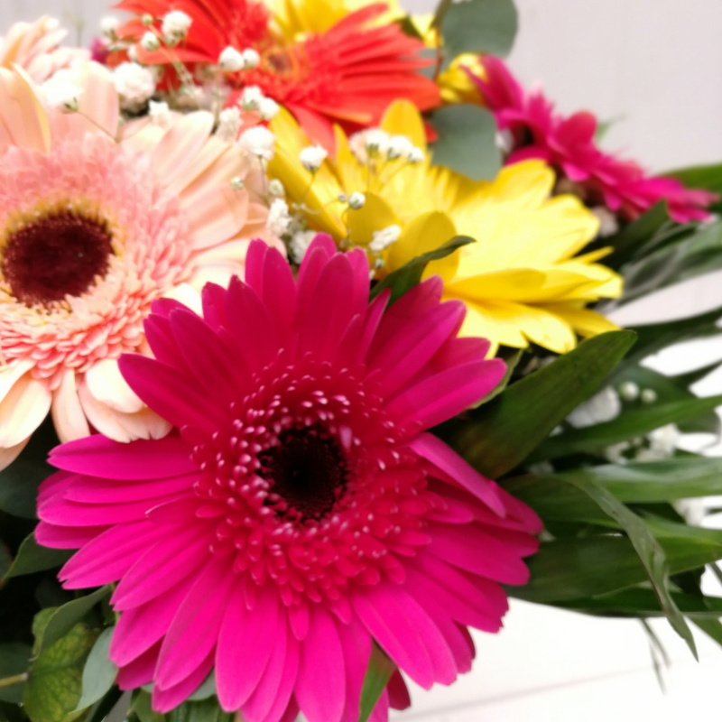 ramo de gerberas variadas de cerca