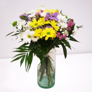 rama variado margaritas