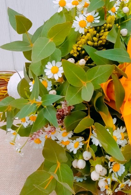 eucalipto con flores varias