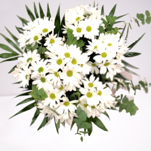 ramo margaritas blancas