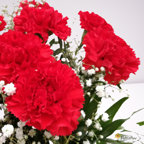 Detalle clavel rojo