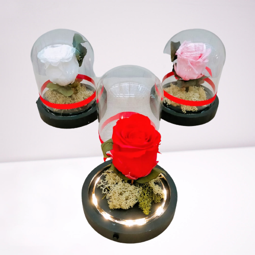 Rosa “La Bella y La Bestia” TP - Imagen 4