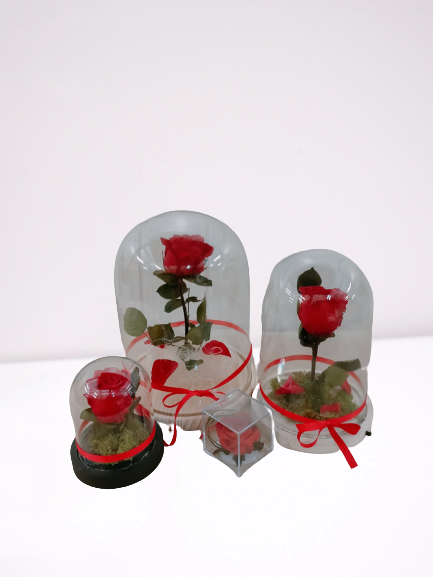 Rosa “La Bella y La Bestia” TP - Imagen 3