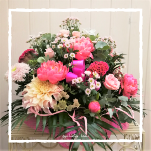 COMPLEMENTOS P.B (1)