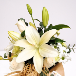 lilium blanco