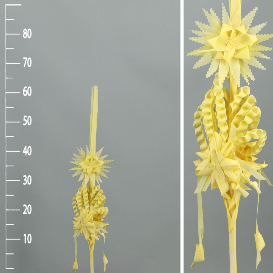 Palma Decorativa - Imagen 4