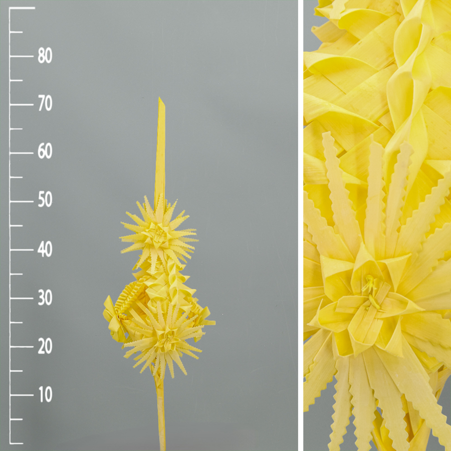 Palma Decorativa - Imagen 3