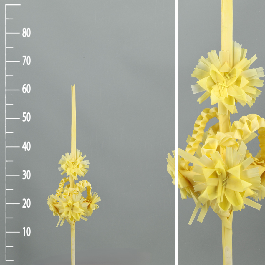 Palma Decorativa - Imagen 2