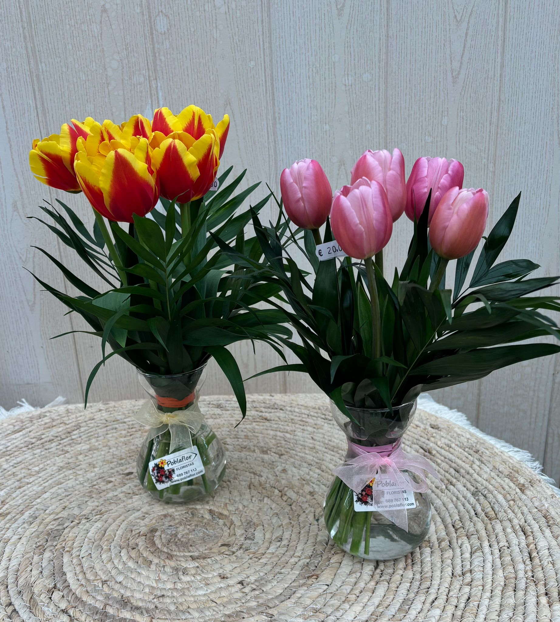 Tulipanes