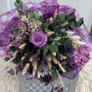 WhatsApp Image 2026-02-20 at 13.34.58