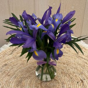 WhatsApp Image 2026-02-23 at 09.37.42 (1)