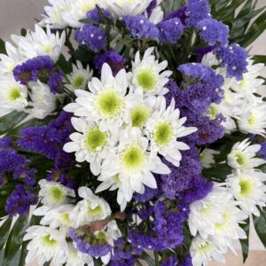 Margarita blanca y statis morado
