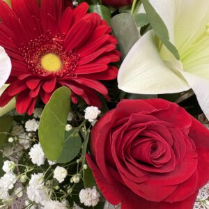 Rosa roja y gerbera roja