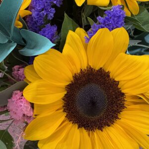 Girasol y ruscus tintado