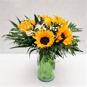 girasoles